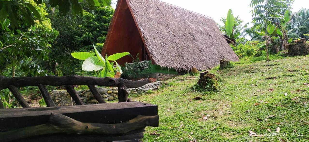 Green Forest Tangkahan Exterior photo