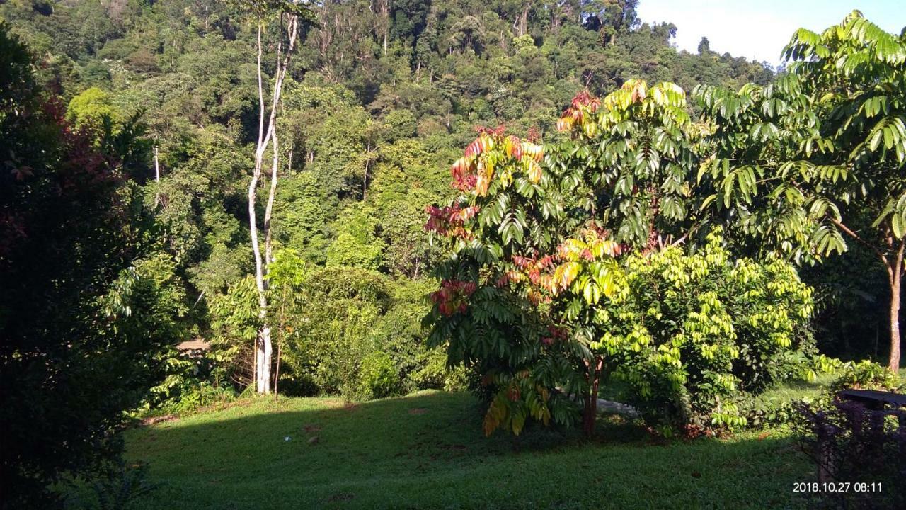 Green Forest Tangkahan Exterior photo