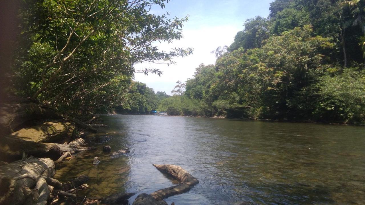 Green Forest Tangkahan Exterior photo