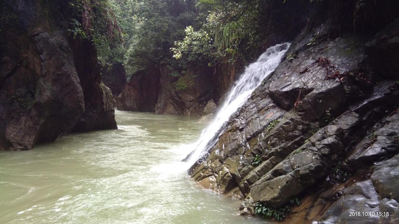 Green Forest Tangkahan Exterior photo